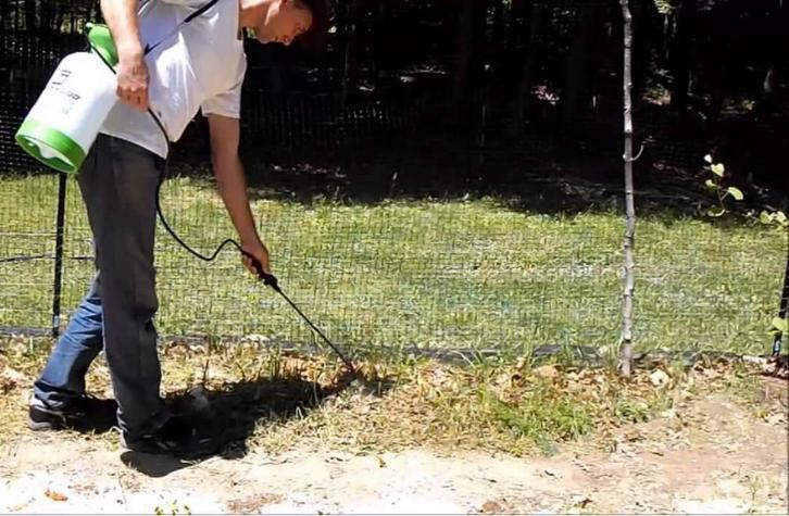 Onkruidbestrijding (zeer effectieve methode), Tuin en Terras, Bestrijdingsmiddelen, Nieuw, Onkruidbestrijding, Ophalen of Verzenden