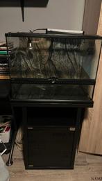 Exo Terra Terrarium 60*45*45 inclusief originele onderkast, Dieren en Toebehoren, Reptielen en Amfibieën | Toebehoren, Ophalen