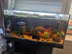 Mooie Juwel 80 cm bak met kast, Ophalen of Verzenden, Leeg aquarium