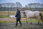 Lessen in communicatie en lichaamstaal, Ophalen, Nieuw, Overige soorten