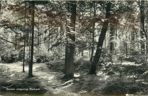 (387-216-037) De Steeg De Posbank, Verzamelen, Ansichtkaarten | Nederland, Gelderland, Verzenden