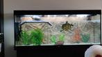 Juwel Rio 450 met meubel, Helialux 1500 en Fluval FX6 Filter, Dieren en Toebehoren, Vissen | Aquaria en Toebehoren, Ophalen, Gebruikt