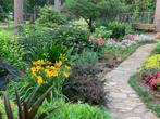 Tuinman aangeboden! onderhoud,ontwerp,beplanting, Tuinontwerp