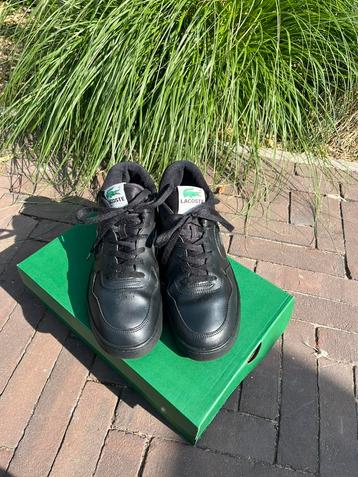 Lacoste sneakers maat 43 beschikbaar voor biedingen