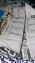 Burberry Bodywarmer, Kleding | Heren, Bodywarmers, Ophalen of Verzenden, Zo goed als nieuw, Overige maten, Beige
