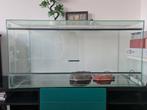 Glazen terrarium perfect voor reptielen, knaagdieren en meer, Dieren en Toebehoren, Reptielen en Amfibieën | Toebehoren, Ophalen