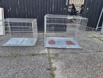 Hondenbench beschikbaar voor biedingen