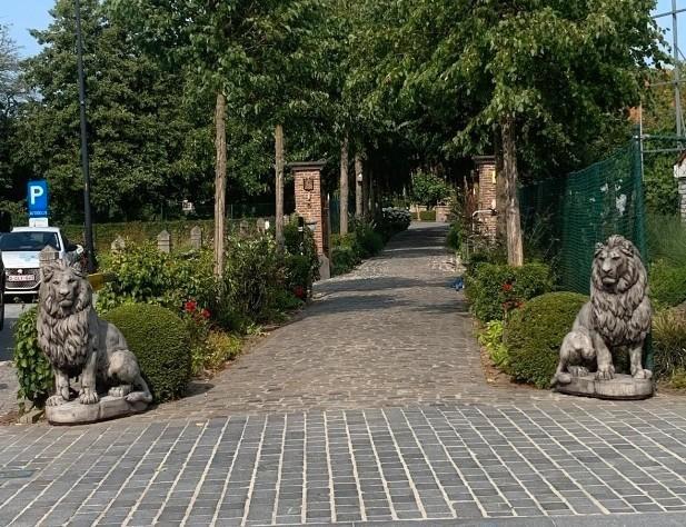 Set grote leeuwen, Tuin en Terras, Tuinbeelden, Nieuw, Dierenbeeld, Beton, Ophalen