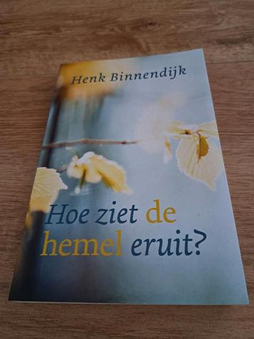 Henk Binnendijk - Hoe ziet de hemel eruit? beschikbaar voor biedingen