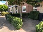 Tuinman en tuinvrouw aangeboden voor een mooie tuin