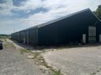 LOODS 25 X 50 MTR, Ophalen of Verzenden