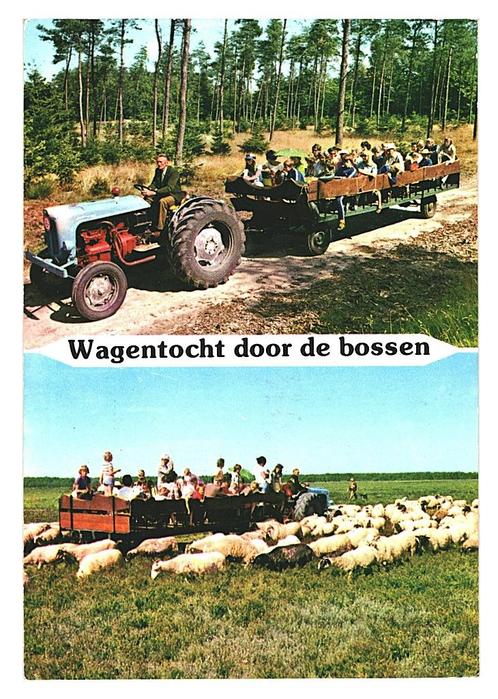 38680	Spier	Wijster	1976 Drenthe	 Gelopen met postzegel, Verzamelen, Ansichtkaarten | Nederland, Gelopen, Drenthe, 1960 tot 1980