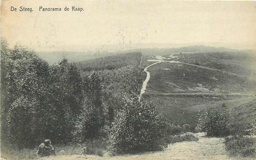 (377-389-013) De Steeg Panorama De Kaap, Verzamelen, Ansichtkaarten | Nederland, Gelderland, Verzenden