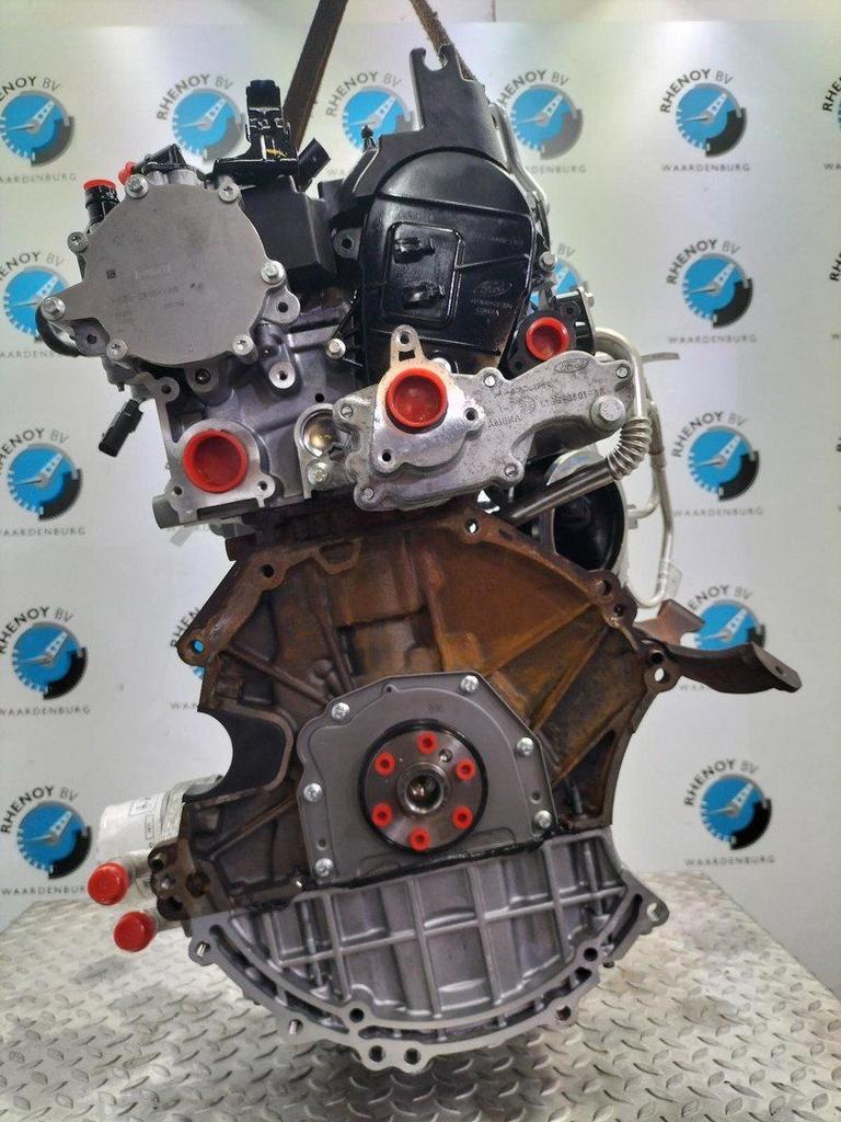 FORD FIESTA MOTOR 2020, Auto-onderdelen, Motor en Toebehoren, Ophalen of Verzenden, Gebruikt, Stiba lid