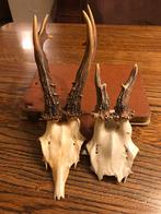 2 geweitjes, Verzamelen, Ophalen of Verzenden, Zo goed als nieuw, Beeldje of Figuurtje