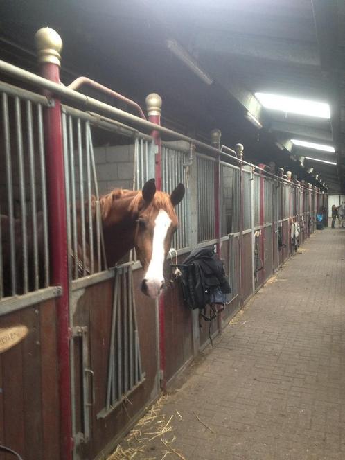 Buitenstal self service, Dieren en Toebehoren, Stalling en Weidegang, Stalling, 2 of 3 paarden of pony's