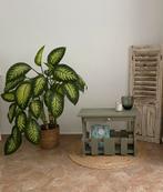 Krantenbak/ Lektuurbak/ Plantentafeltje/ Bijzettafeltje, Ophalen, Nieuw