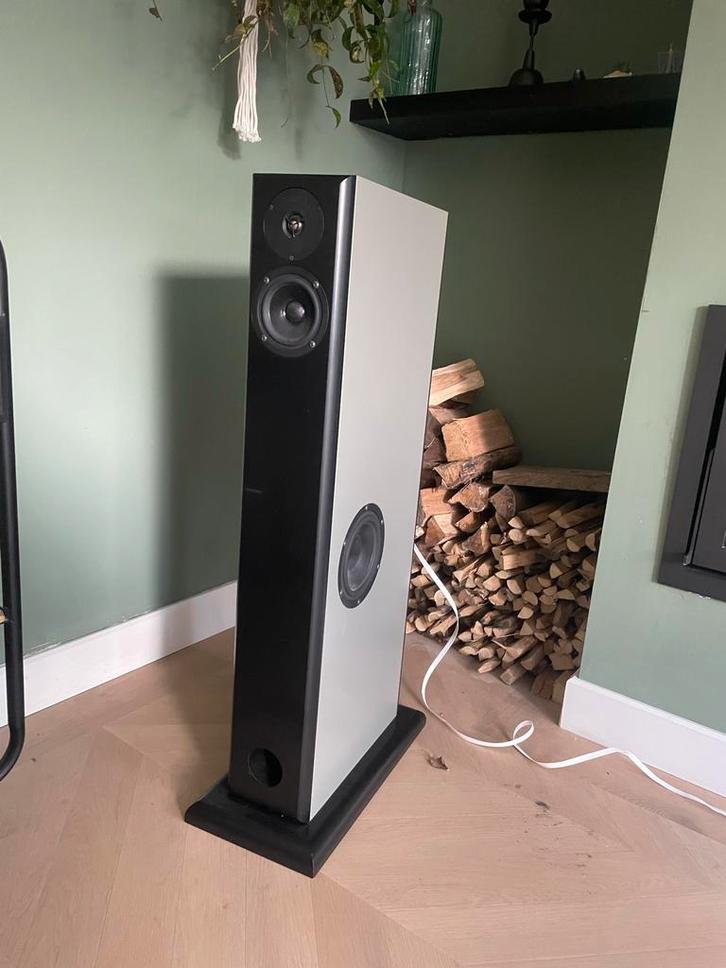 Audio Physic Virgo (II) Luidspreker, Audio, Tv en Foto, Luidsprekers, Gebruikt, Front, Rear of Stereo speakers, 60 tot 120 watt