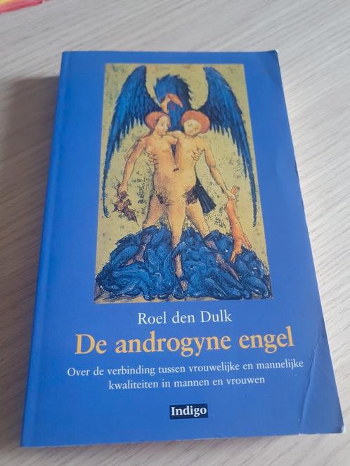 R. den Dulk - De androgyne engel, Boeken, Psychologie, Zo goed als nieuw, Ophalen of Verzenden