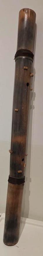 Valiha - Traditioneel Malagassisch Instrument, Muziek en Instrumenten, Snaarinstrumenten | Overige, Ophalen of Verzenden, Gebruikt