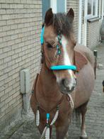 Indianen show set – Horse Charms – compleet, Dieren en Toebehoren, Ophalen of Verzenden, Gebruikt, Overige soorten