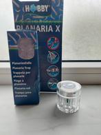 Planaria val, Dieren en Toebehoren, Ophalen of Verzenden, Nieuw, Overige typen