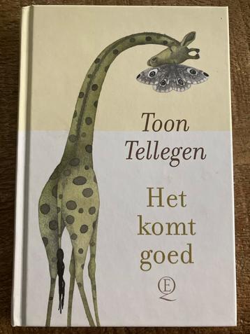 Toon Tellegen - Het komt goed beschikbaar voor biedingen