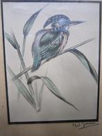 H.GORTER, Leuk tekening van een IJSVOGELTJE, Antiek en Kunst, Kunst | Schilderijen | Klassiek, Ophalen of Verzenden