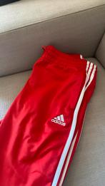 Adidas broek rood M, Maat 38/40 (M), Adidas, Overige typen, Ophalen of Verzenden