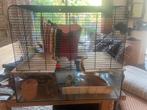 Hamsterkooi INCL toebehoren, Dieren en Toebehoren, Ophalen of Verzenden, Minder dan 75 cm, Kooi, Minder dan 60 cm
