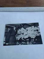 AALSMEER. CENTRALE AALSMEERSCHE VEILING, Ophalen of Verzenden, Voor 1920