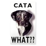Goed huis gezocht voor twee Catahoula Leopard Dogs, CDV (hondenziekte), Meerdere, Meerdere dieren, 3 tot 5 jaar
