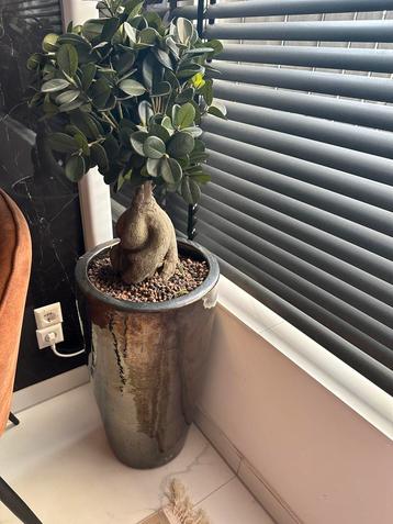 Aardewerkpot met kunstplant beschikbaar voor biedingen