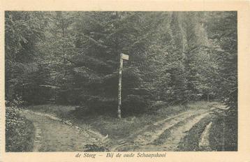 (387-232-011) De Steeg Bij de oude Schaapskooi beschikbaar voor biedingen