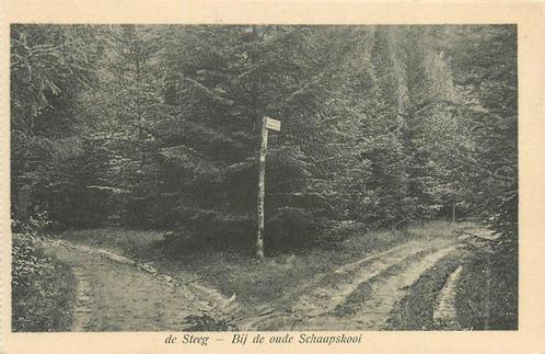 (387-232-011) De Steeg Bij de oude Schaapskooi, Verzamelen, Ansichtkaarten | Nederland, Gelderland, Verzenden