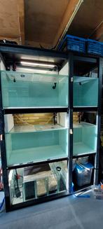 Kweekaquarium en toebehoren, Dieren en Toebehoren, Vissen | Aquaria en Toebehoren, Ophalen, Gebruikt, Leeg aquarium