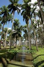 Leuke vakantiewoning in regio Paramaribo GEZOCHT, Vakantie, 5 personen, Wasmachine, Landhuis of Villa, 2 slaapkamers