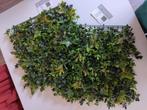 wandpaneel kunstgroen - twee stuks, Ophalen, Nieuw