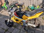 Leike hornet ( replica gilera dna), Ophalen, Zo goed als nieuw