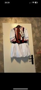 Feest kostuum, Kleding | Dames, Carnavalskleding en Feestkleding, Ophalen of Verzenden, Zo goed als nieuw, Maat 42/44 (L), Carnaval