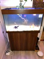 Juwel aquarium bruin 125 liter. Evt. Met vissen, Ophalen, Zo goed als nieuw, Gevuld zoetwateraquarium