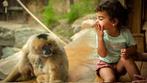 Zoo Planckendael tweede kaartje gratis, Tickets en Kaartjes, Twee personen
