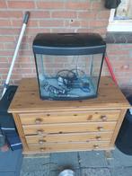 Aquarium aqua 65, Dieren en Toebehoren, Ophalen of Verzenden, Zo goed als nieuw, Leeg aquarium