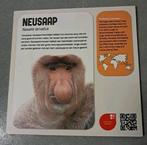 Informatiebordje Neusaap Apenheul, Ophalen of Verzenden, Gebruikt