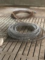 Voervijzel, Dieren en Toebehoren, Meerdere dieren, Varken, 6 jaar of ouder