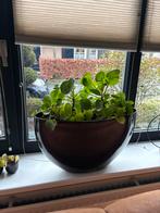 Twee zwarte bloembakken H35 D60, Ophalen, Kunststof, Minder dan 30 cm, Rond