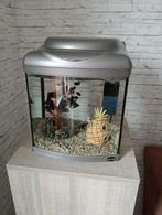 Aquarium, Ophalen of Verzenden, Zo goed als nieuw, Leeg aquarium