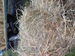 Kleine balen overjarig hooi, Dieren en Toebehoren, Dierenvoeding, Ophalen of Verzenden, Vee