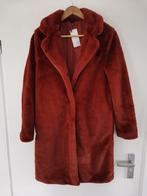 Winterjas, Verzenden, Nieuw, Oranje, Maat 36 (S)