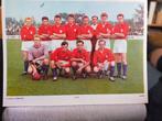 VSV Velsen Elftal Foto 1958/1959, Verzamelen, Ophalen of Verzenden, Gebruikt, Overige binnenlandse clubs, Poster, Plaatje of Sticker